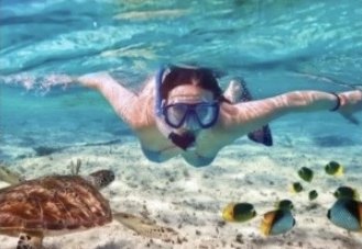 Schnorchlerin unter Wasser mit Meeresschildkröte und bunten Fischen