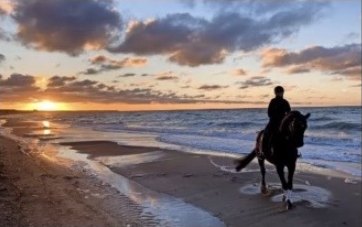 Reiter am Strand bei Sonnenuntergang